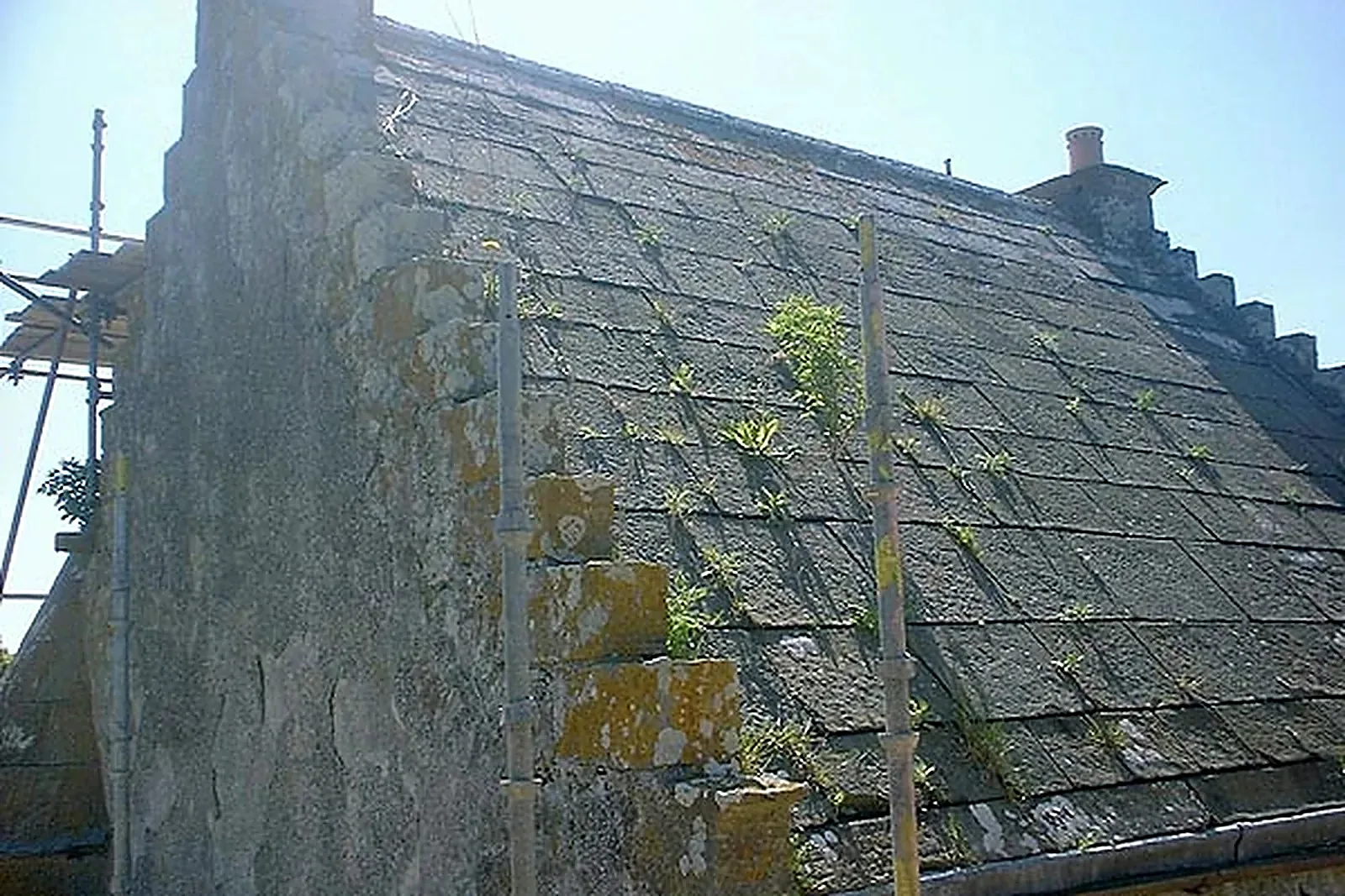 Coxton Tower, Lhanbryde, Moray — photograph 2