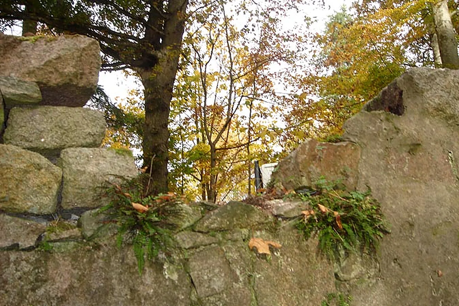 Crathes Castle Bridge, Banchory, Aberdeenshire — photograph 3