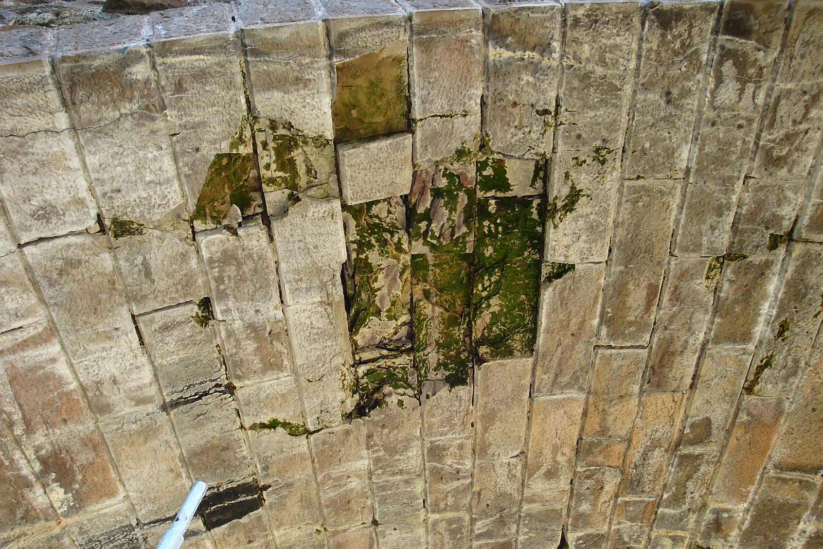 Edinkillie Viaduct, River Divie, Dunphail, Moray — photograph 1