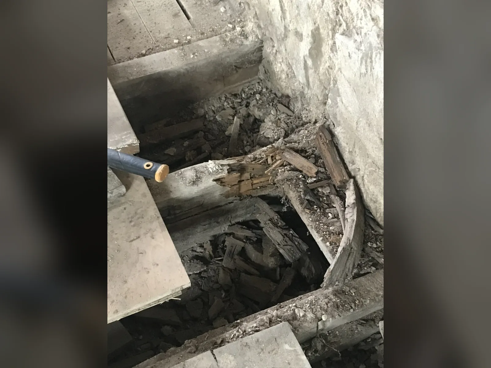 A floor joist end cut open at the wall, decayed right through where it was built into damp masonry