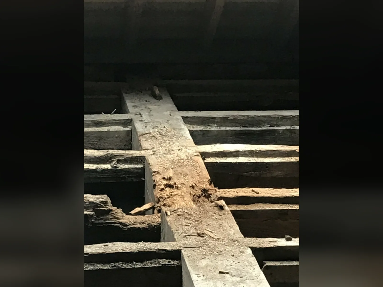 Rot in a floor beam and the joists bearing on it, found once the floor was lifted