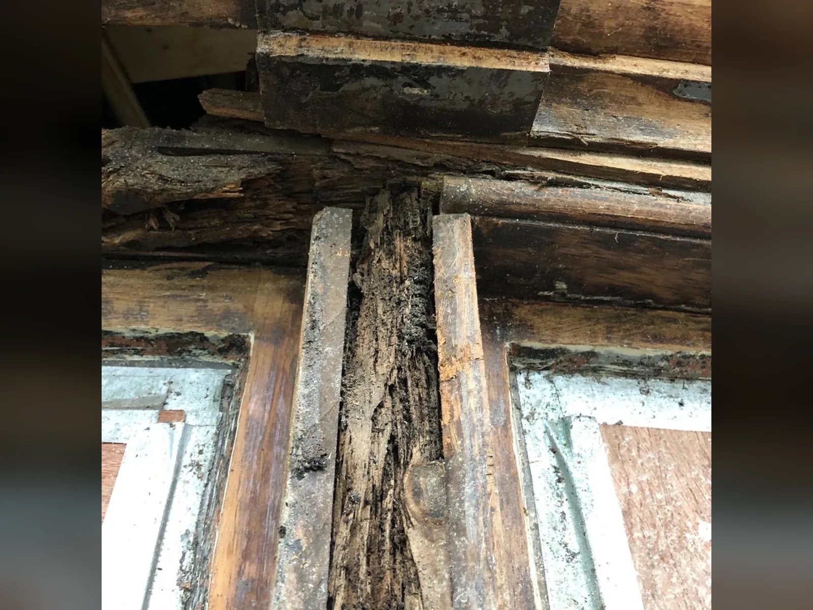 186 Argyle Street: a bay mullion opened up, the timber decayed to its core