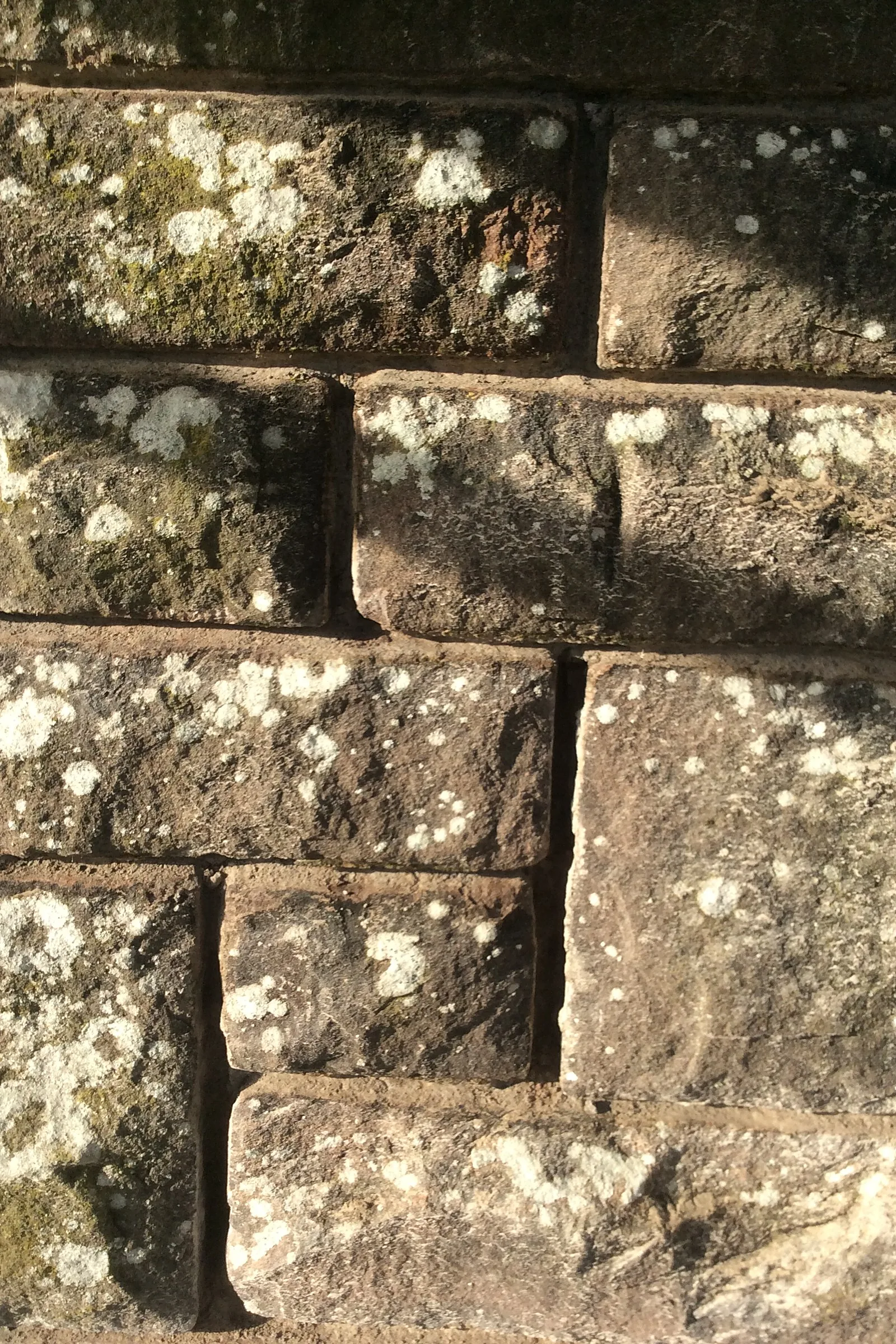 Lowson Manse, Jamieson Street, Forfar — photograph 4