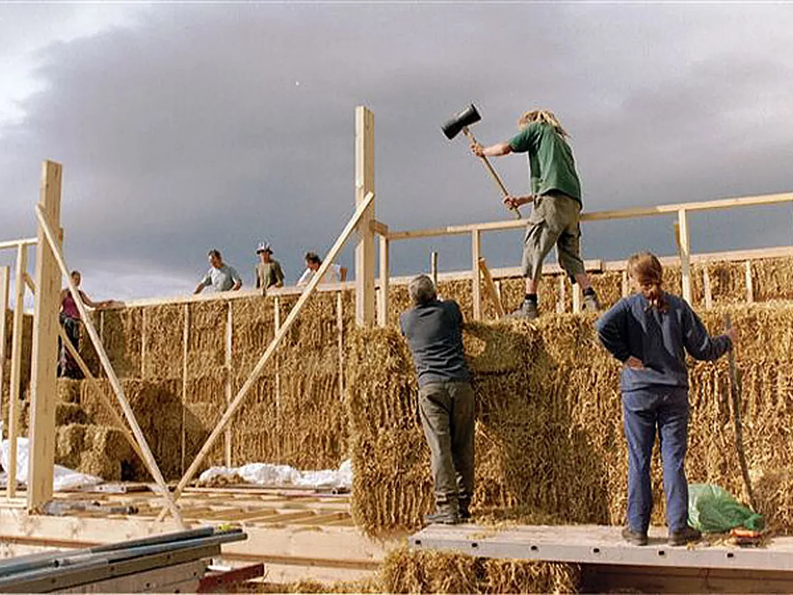 Sunnyside Croft Studio, Buchan coast: load-bearing straw bale walls going up on the timber floor plate, with LTM training the volunteers